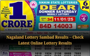 Check Nagaland State Lottery Results Daily at nagalandstatelottery1.org