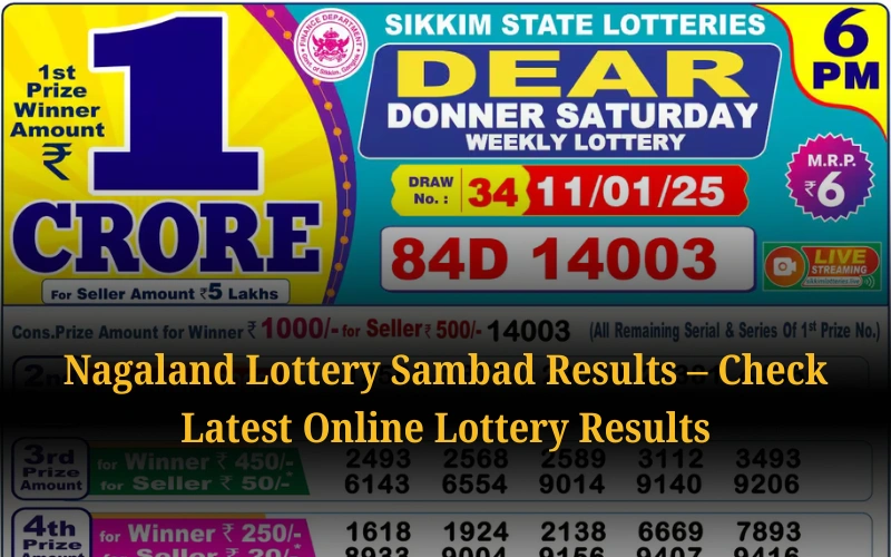 Check Nagaland State Lottery Results Daily at nagalandstatelottery1.org