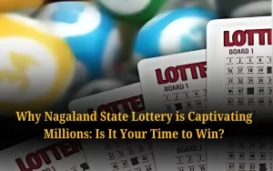Check Nagaland State Lottery Results Daily at nagalandstatelottery1.org