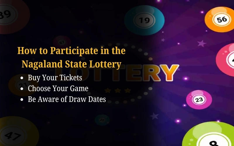 Check Nagaland State Lottery Results Daily at nagalandstatelottery1.org
