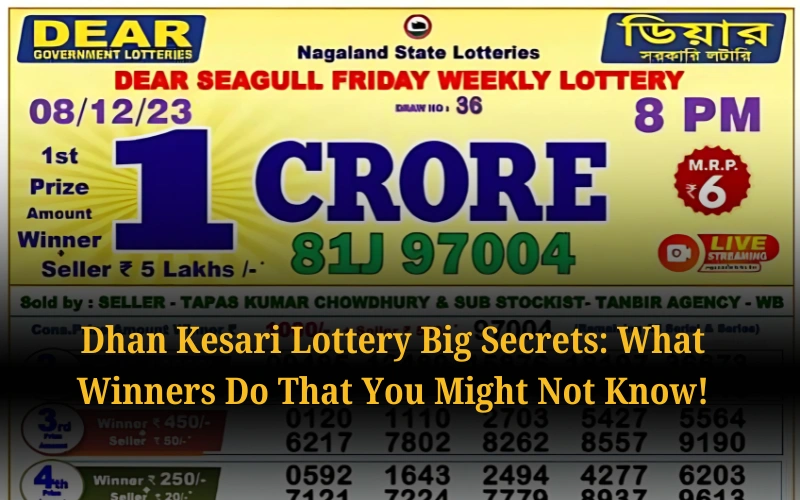 Check Nagaland State Lottery Results Daily at nagalandstatelottery1.org