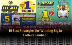 Check Nagaland State Lottery Results Daily at nagalandstatelottery1.org