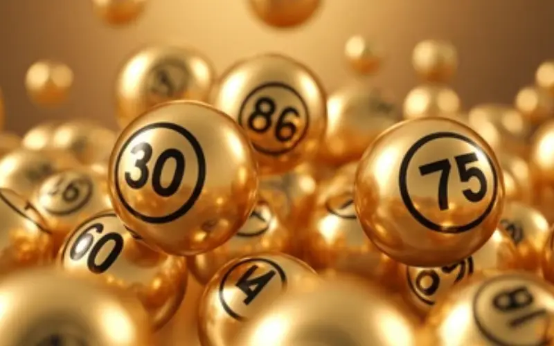 Nagaland Ka Lottery